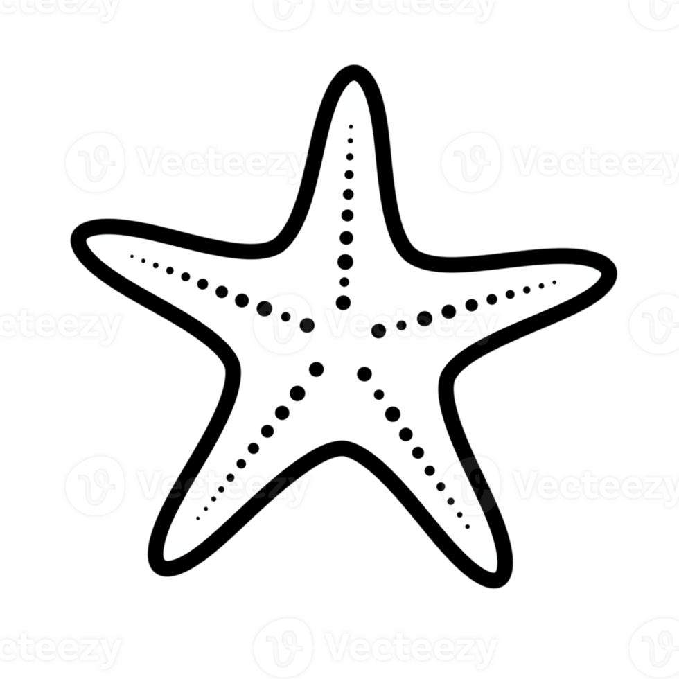Simple White Starfish Ocean Sea Animal Design Illustration art icon black beach image summer marine png