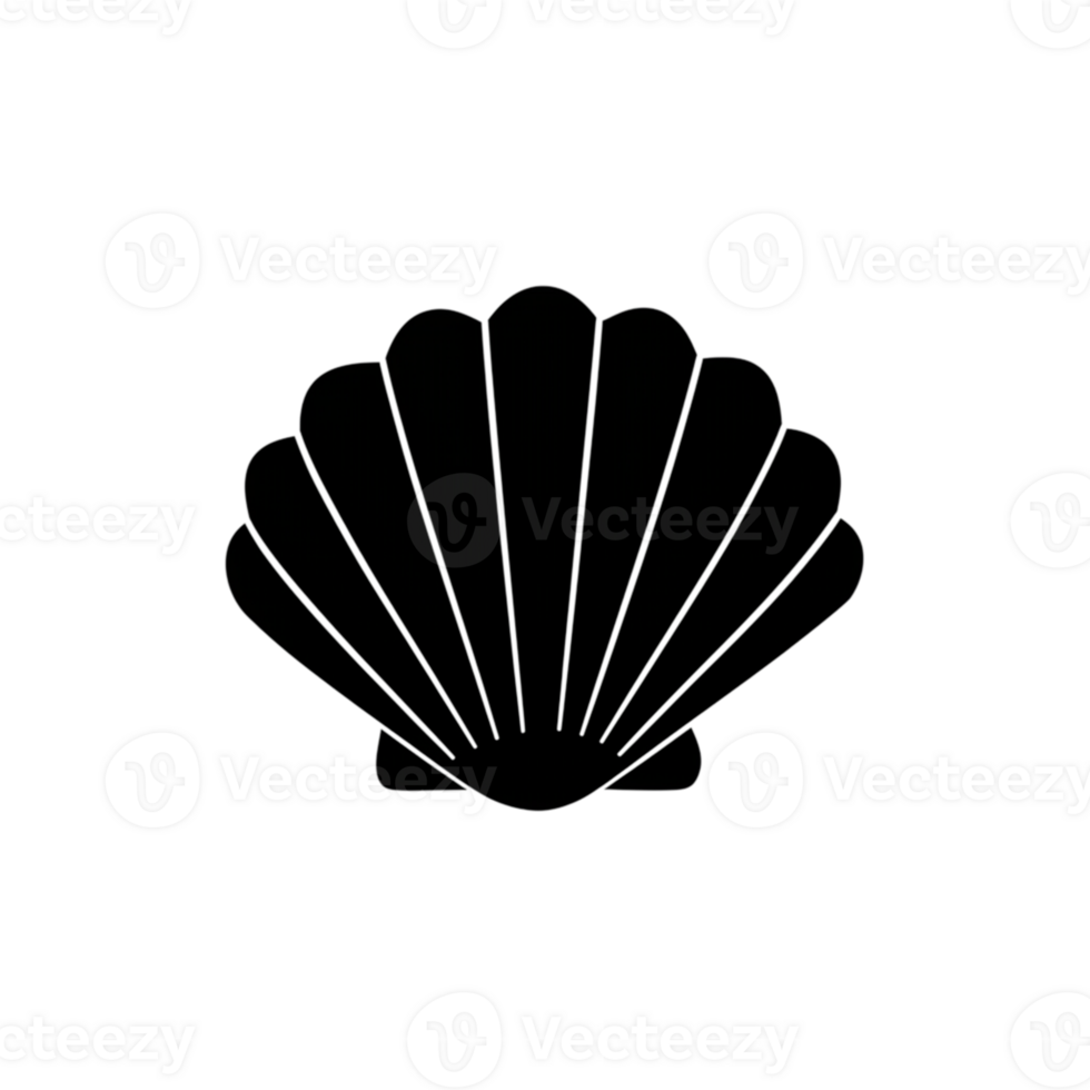 Simple Elegant Seashell Outline Icon Graphic Design Art Ocean Beach White Black Clean Image Summer png