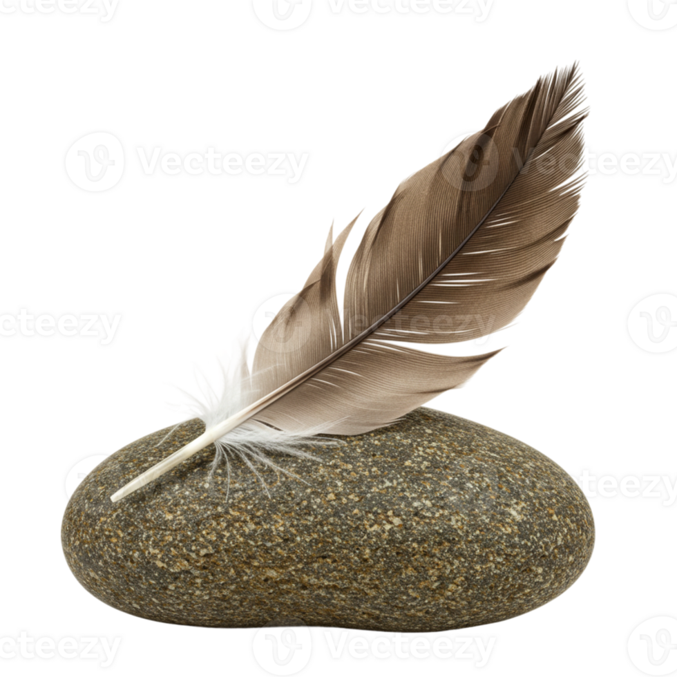 Serene Brown Feather Resting on Smooth Grey Stone Natural Background zen spa rock calm dark nature png