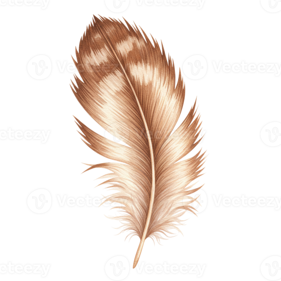 Single Brown and Beige Watercolor Feather Isolated on Black Background Art Bird Soft Print Light png