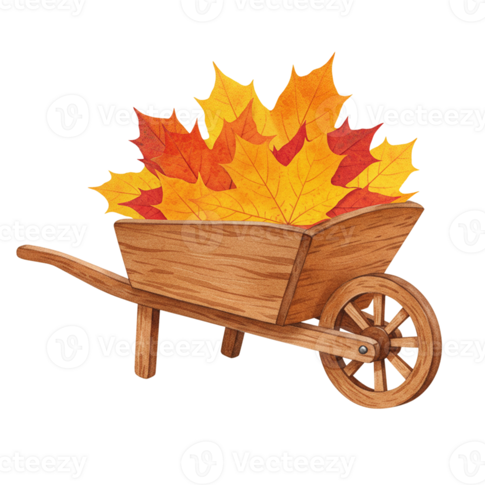 Autumn Leaves in Wooden Wheelbarrow Fall Harvest Illustration Red Cart Maple Image Orange Yellow png