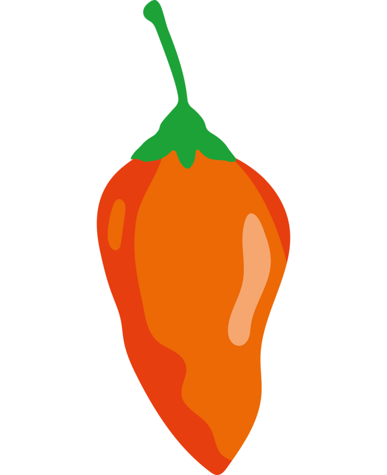 jalapeno spice illustration png
