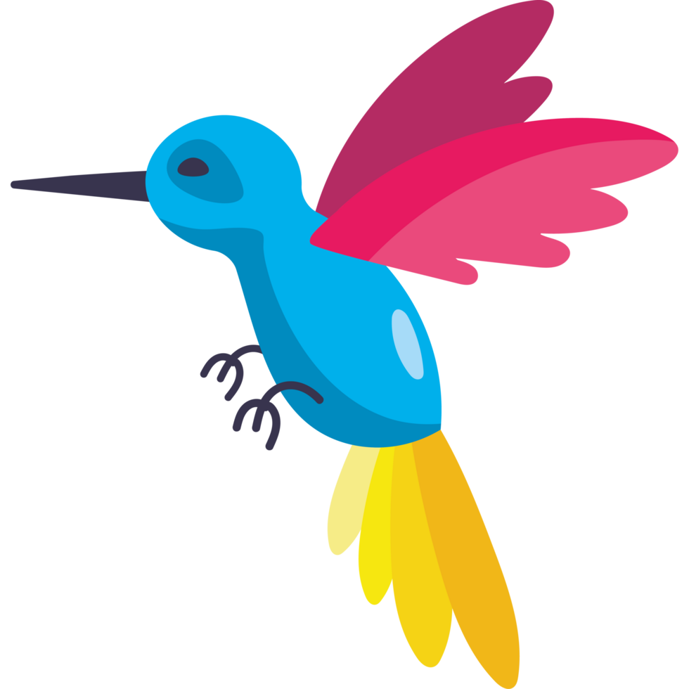 colombian hummingbird bird png