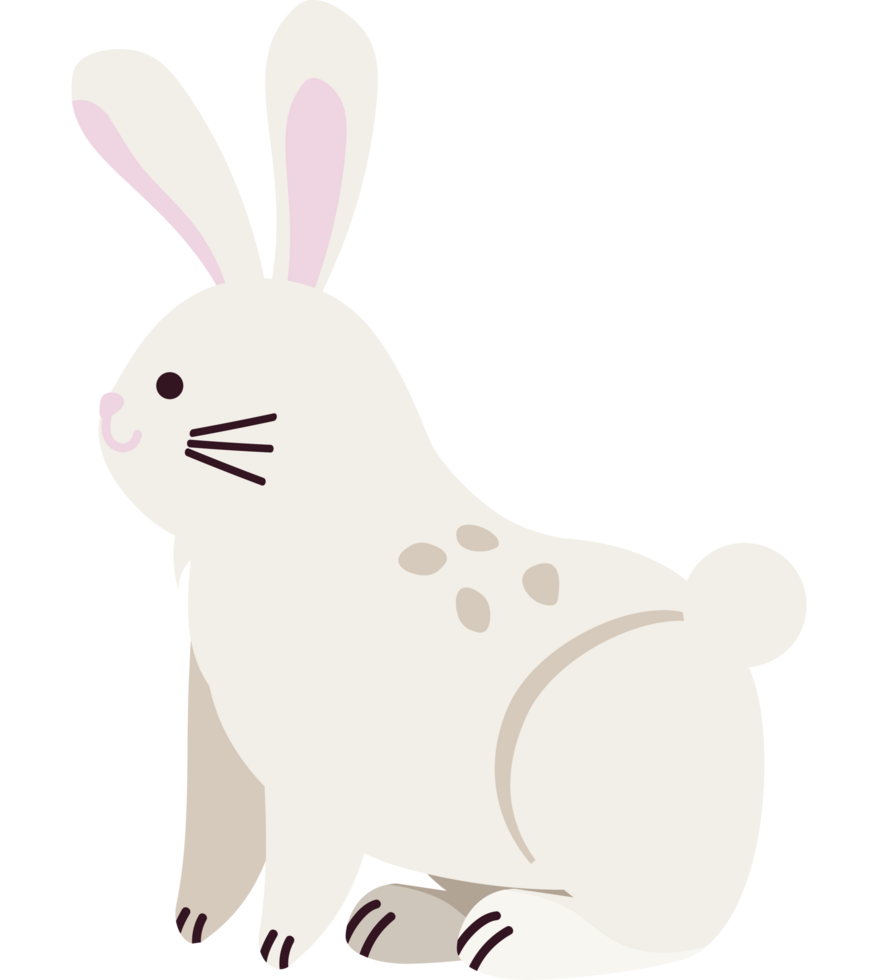 arctic animal rabbit png