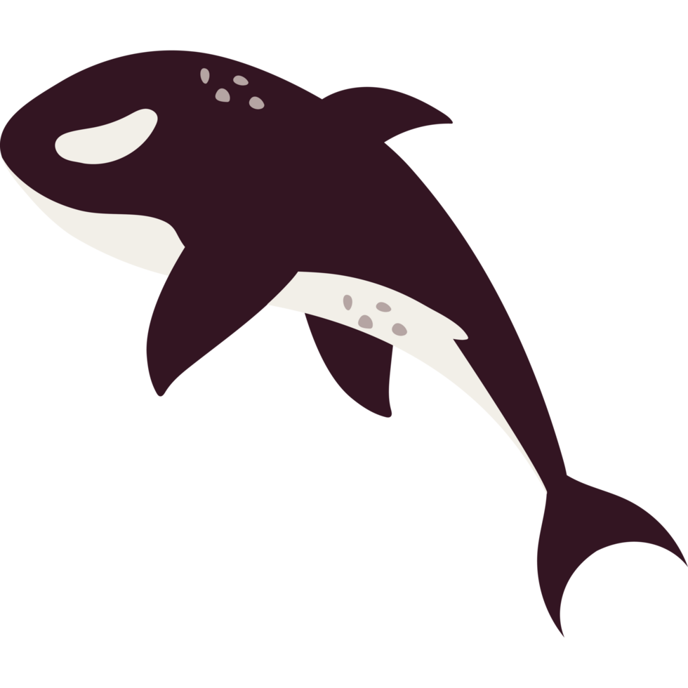 arctic animal whale png
