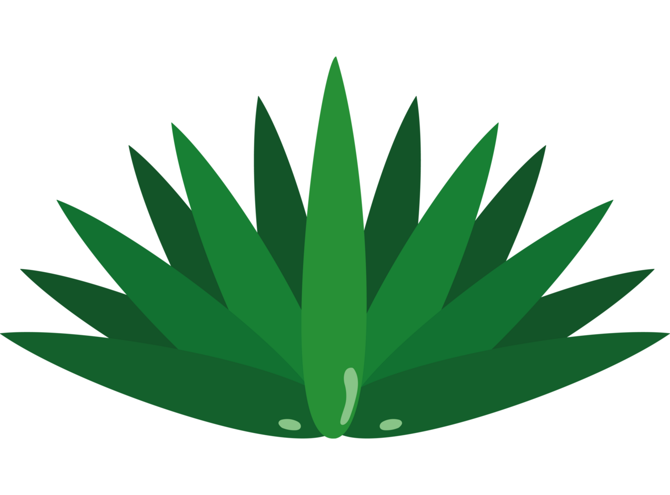mexico mezcal plant agave png