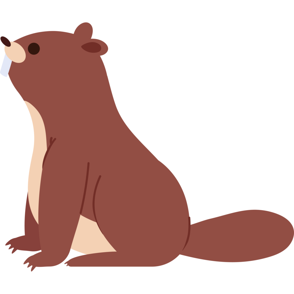 groundhog rodent animal png