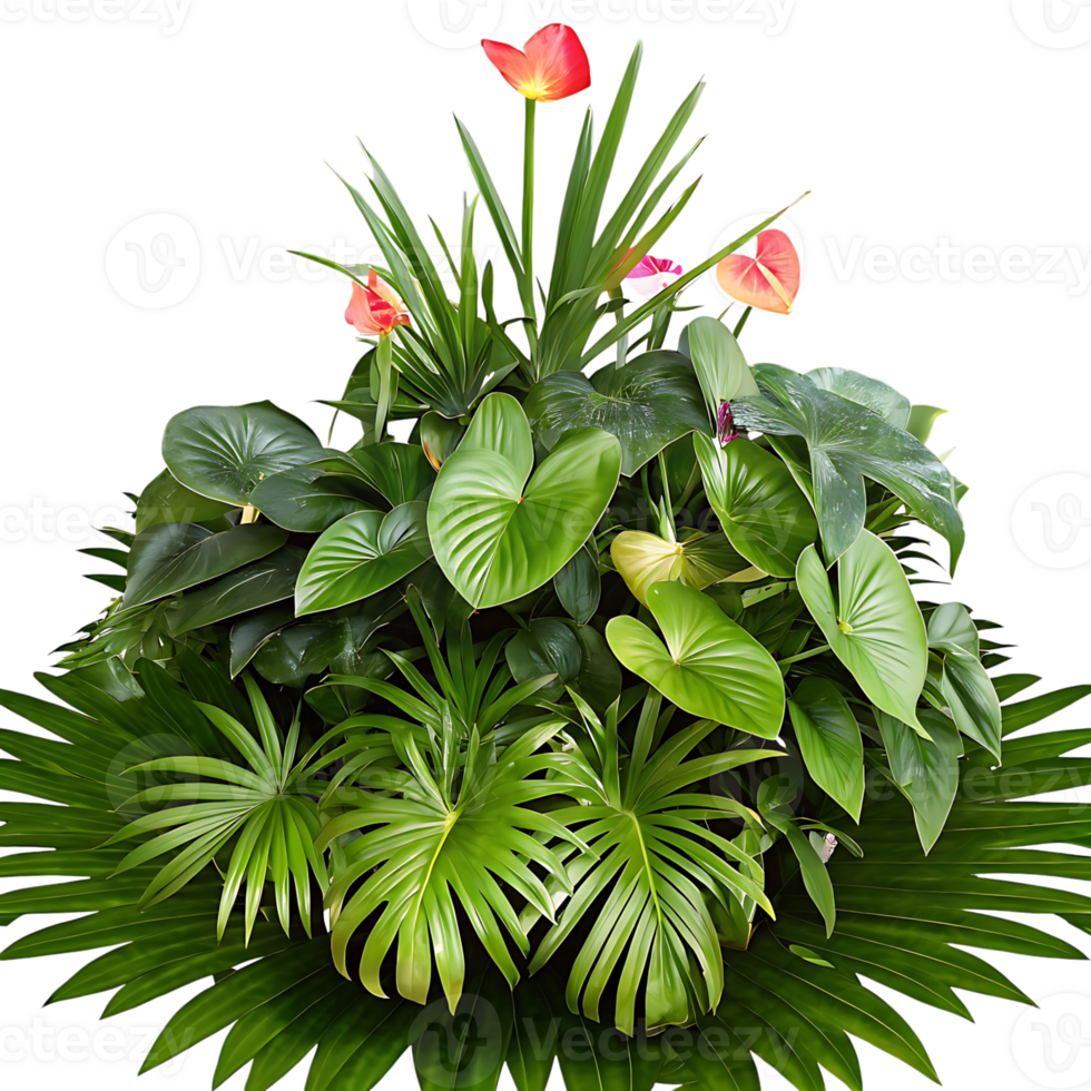 Lush Tropical Plant Arrangement with Vibrant Red and Pink Flowers png