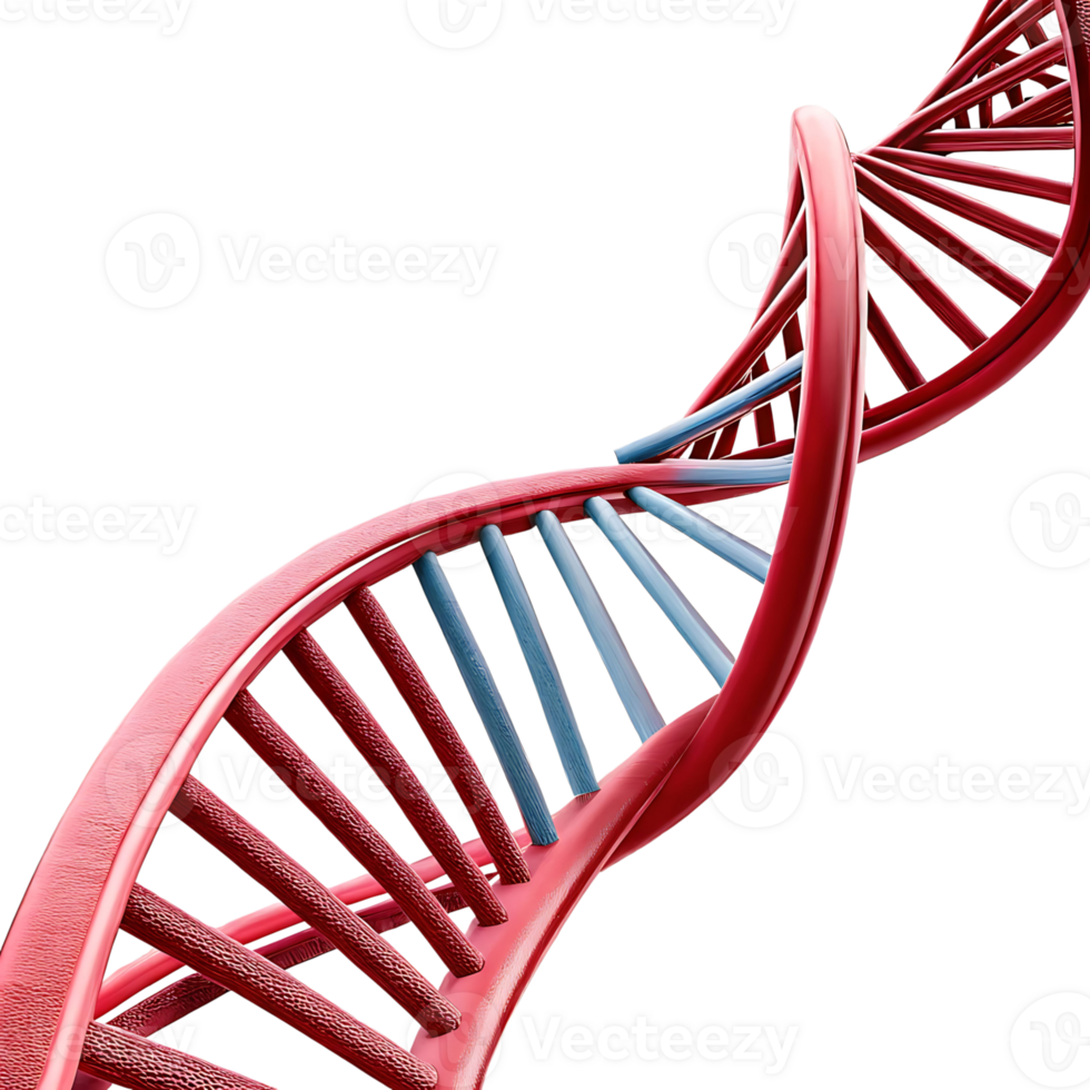 Stunning 3D Render of a DNA Double Helix Molecule with Red and Blue Strands png