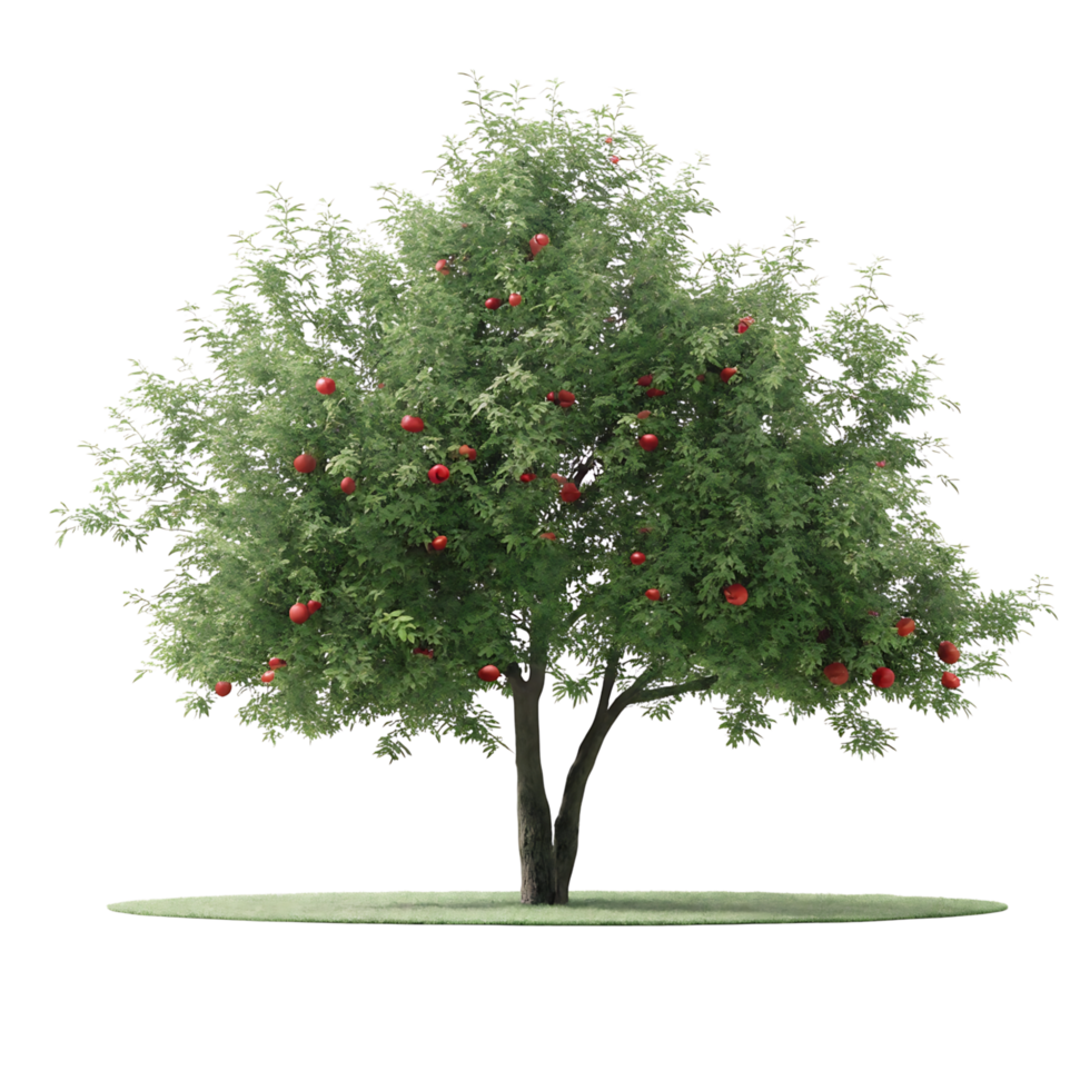A tree with red apples on it png