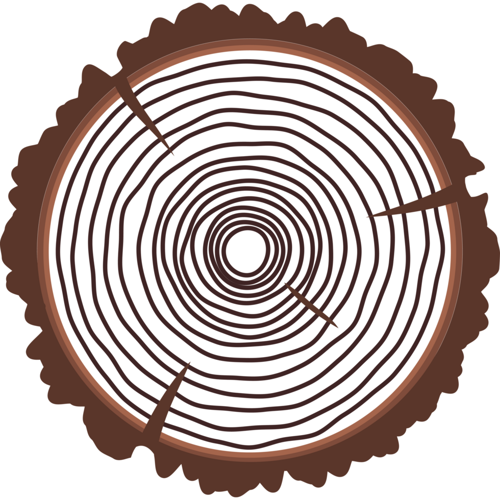 Saw cut tree trunk flat style isolated png