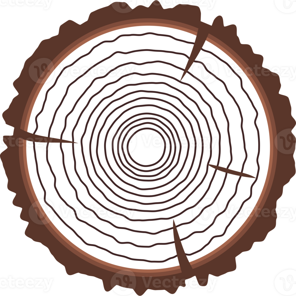 Saw cut tree trunk brown color flat style png