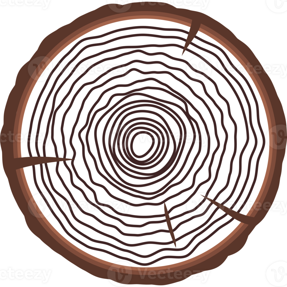 Saw cut tree trunk flat style brown color isolated png
