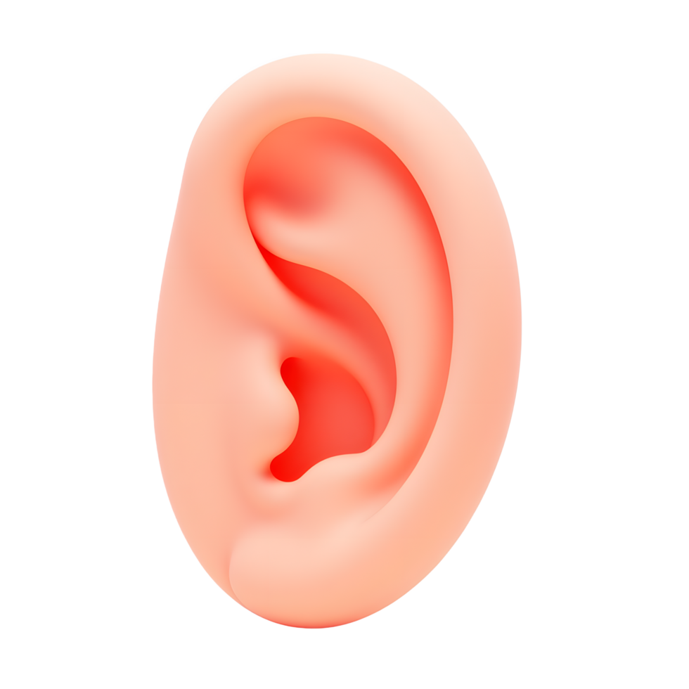 Realistic 3D Render of a Human Ear Anatomy png