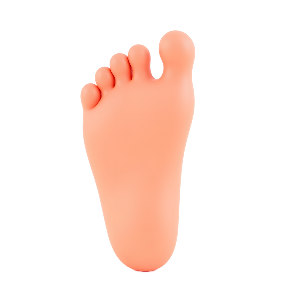 3D Render of a Human Foot Sole for Medical or Health Use png