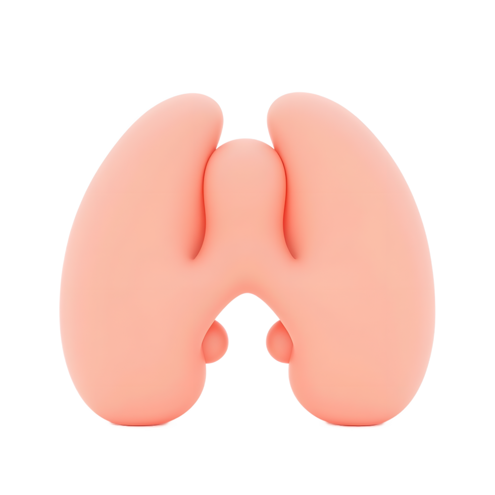 3D Rendered Human Lungs Illustration Medical Anatomy png