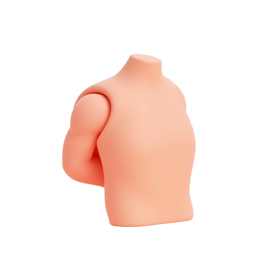 Peach Colored Mannequin Torso 3D Render png