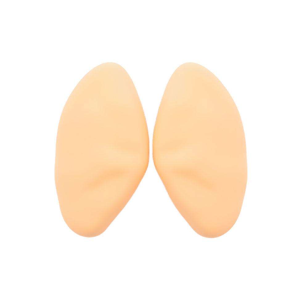 Human Parathyroid Glands 3D Render Medical Illustration png