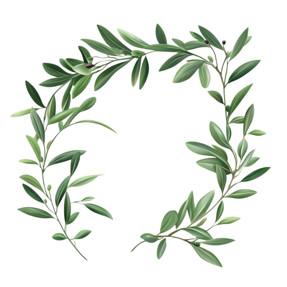 Olive Branch Wreath Elegant Botanical Decoration png