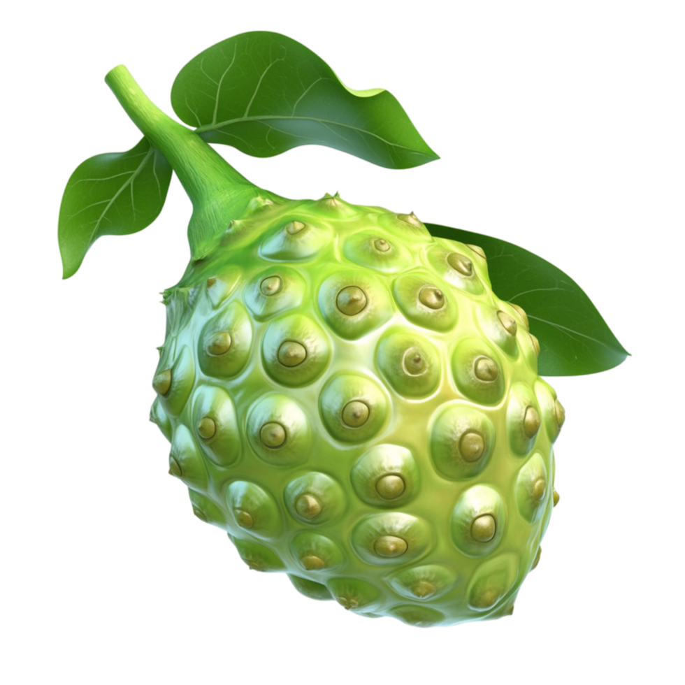 Ripe Green Soursop Fruit with Leaves png