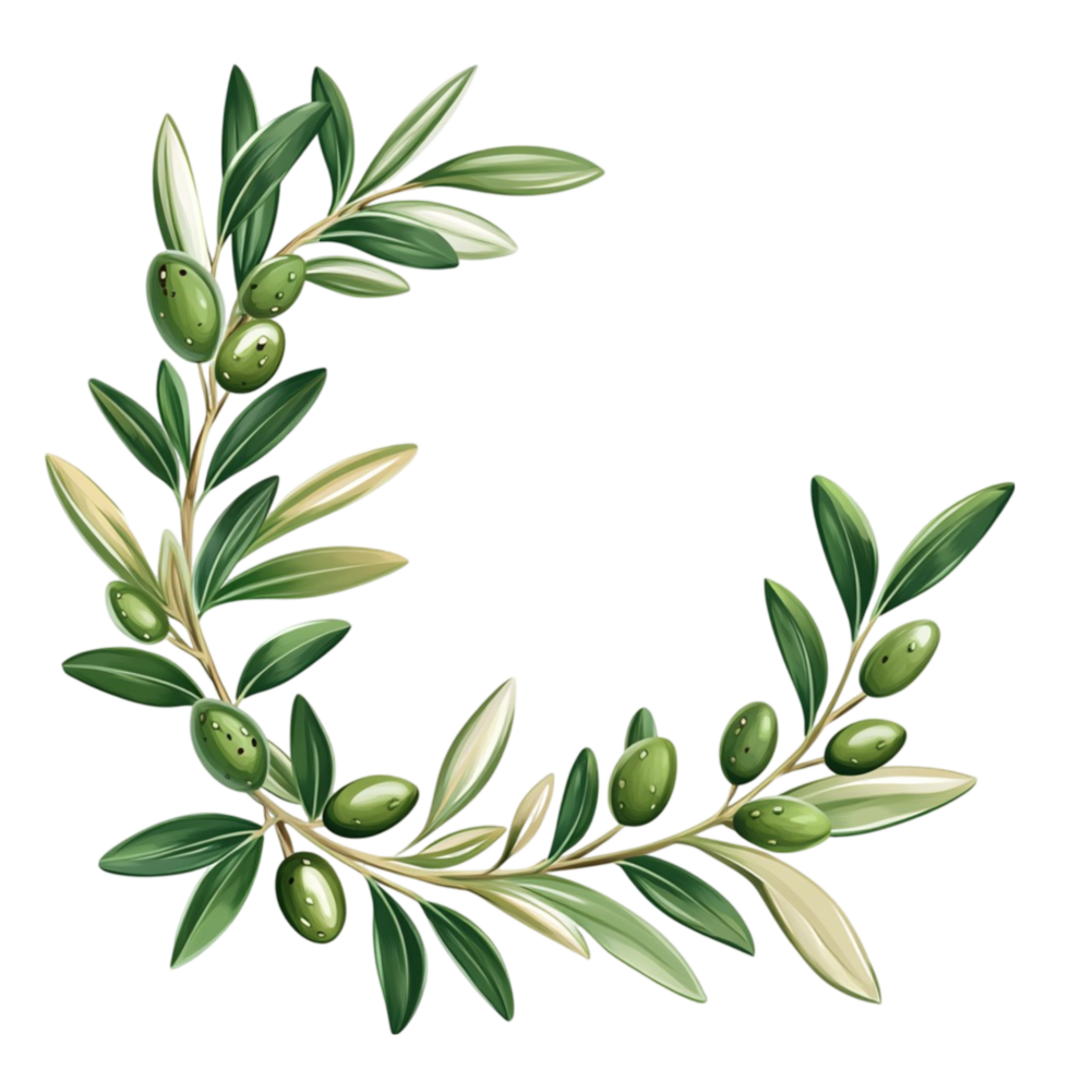 Green Olive Branch Wreath Illustration png