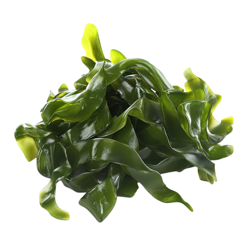 Fresh Green Leaves png