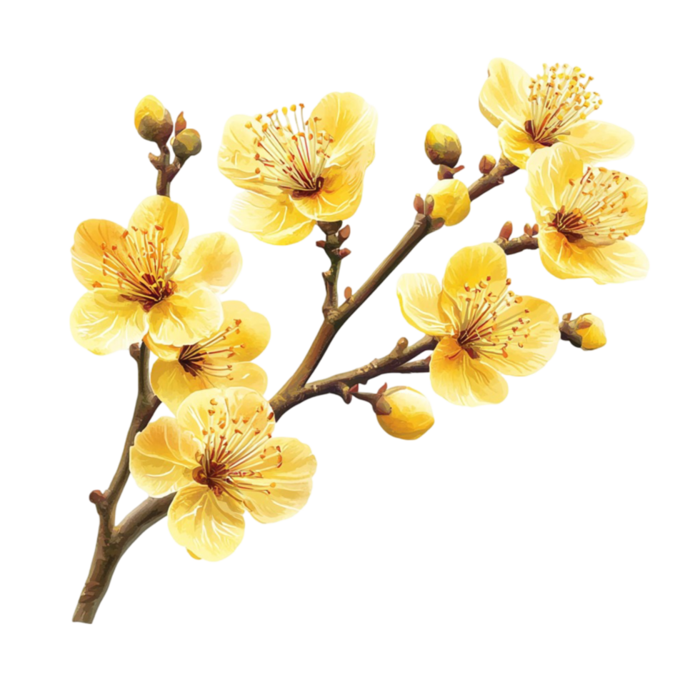 Vibrant Yellow Flower Branch in Bloom png