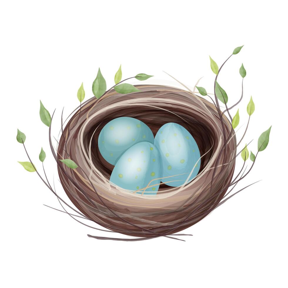 Realistic watercolour illustration of a bird's nest with three blue speckled eggs surrounded by thin branches. illustration. vector