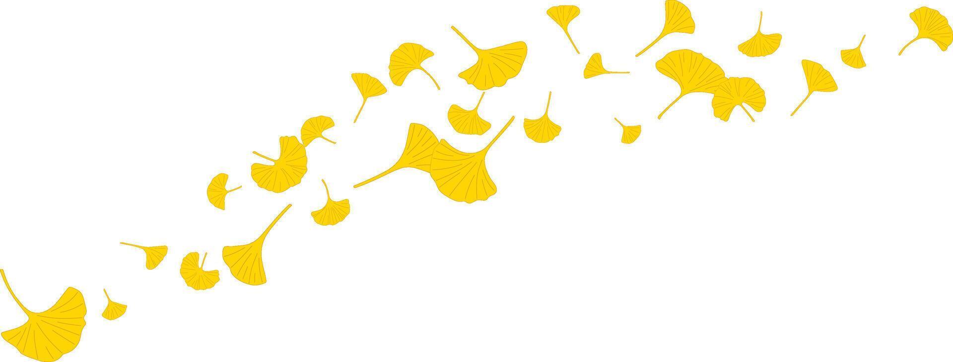 Nature floating ginkgo biloba leaves flying decoration ecology illustration vector