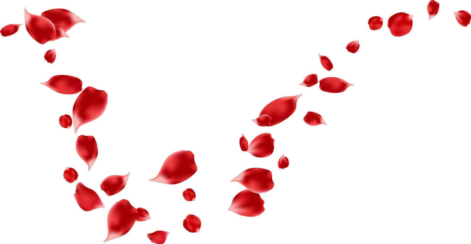 Red rose petals flying floating isolated illustration decoration romantic card vector