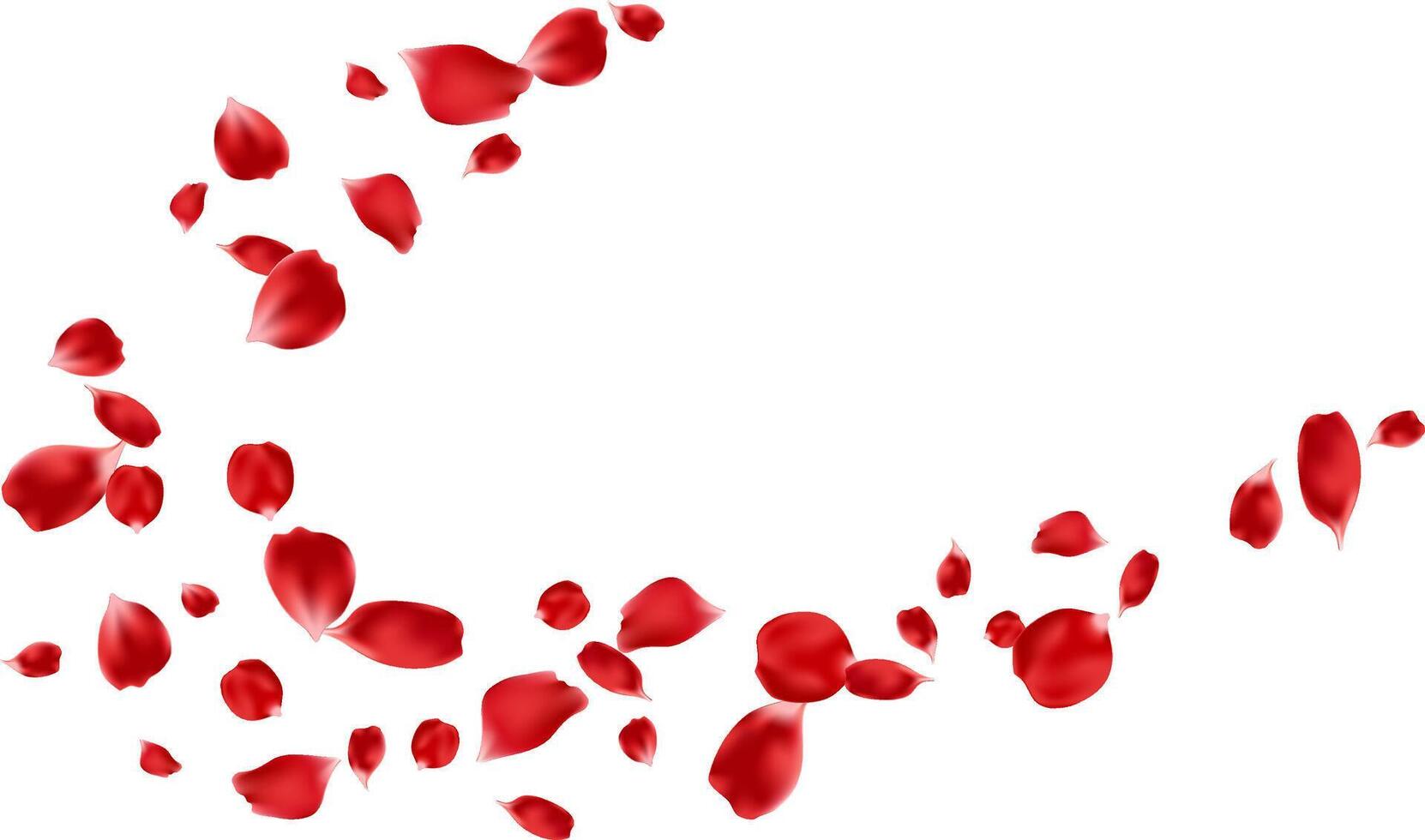 Flying red rose petals decor spa product, Valentine romantic card, banner and background illustration vector
