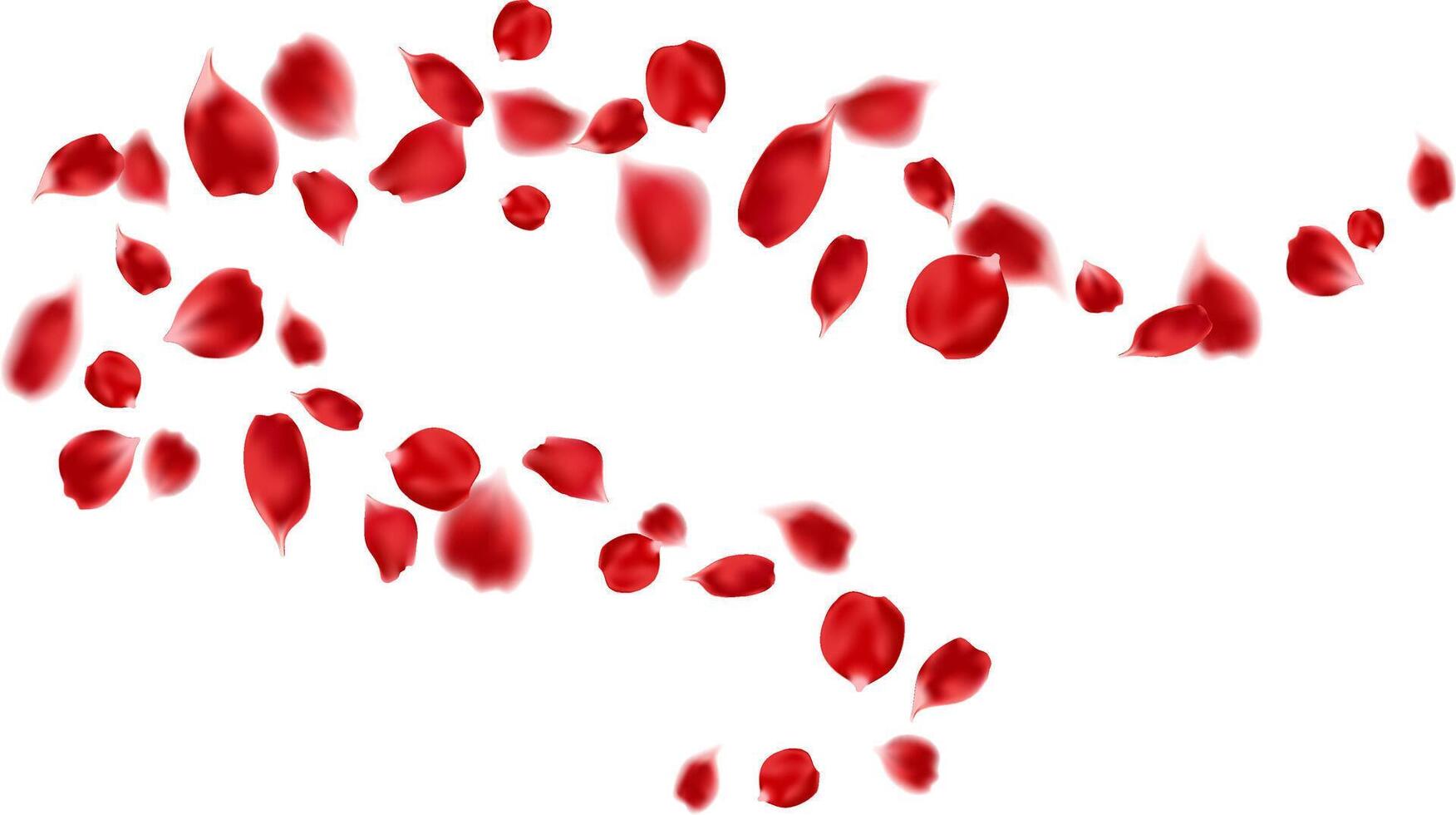 Red roses petals flying romance and love curve wavy element vector