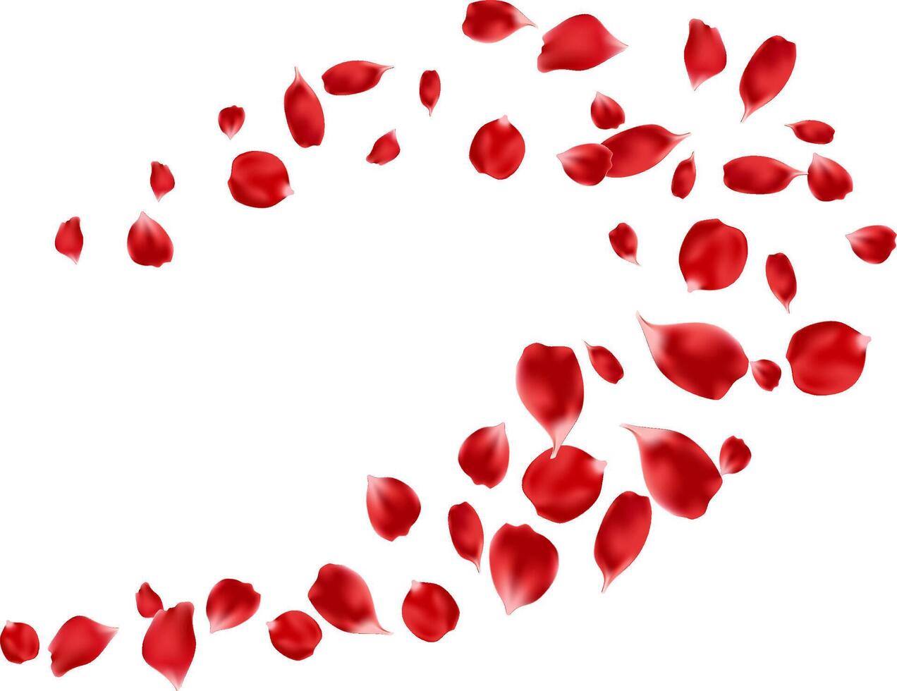 Flying red rose petals isolated floating. organic product background vector