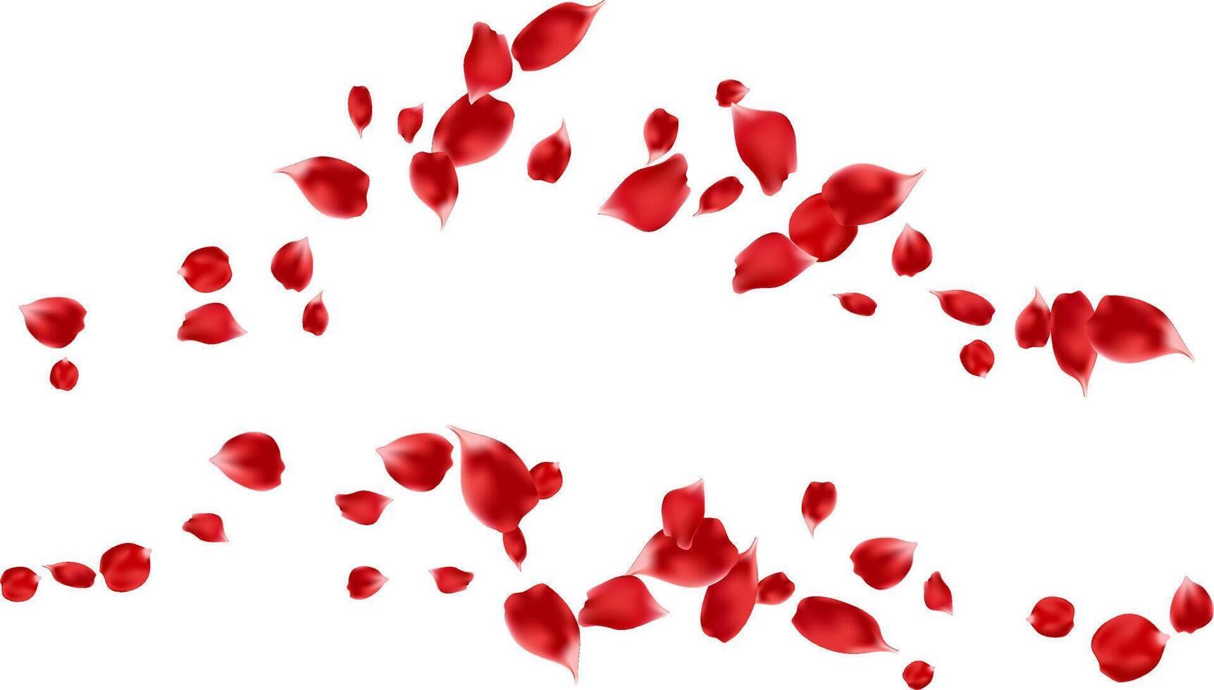 Flying rose petal isolated for lovely banner, Valentine's day, greeting card. Red floral fresh vector