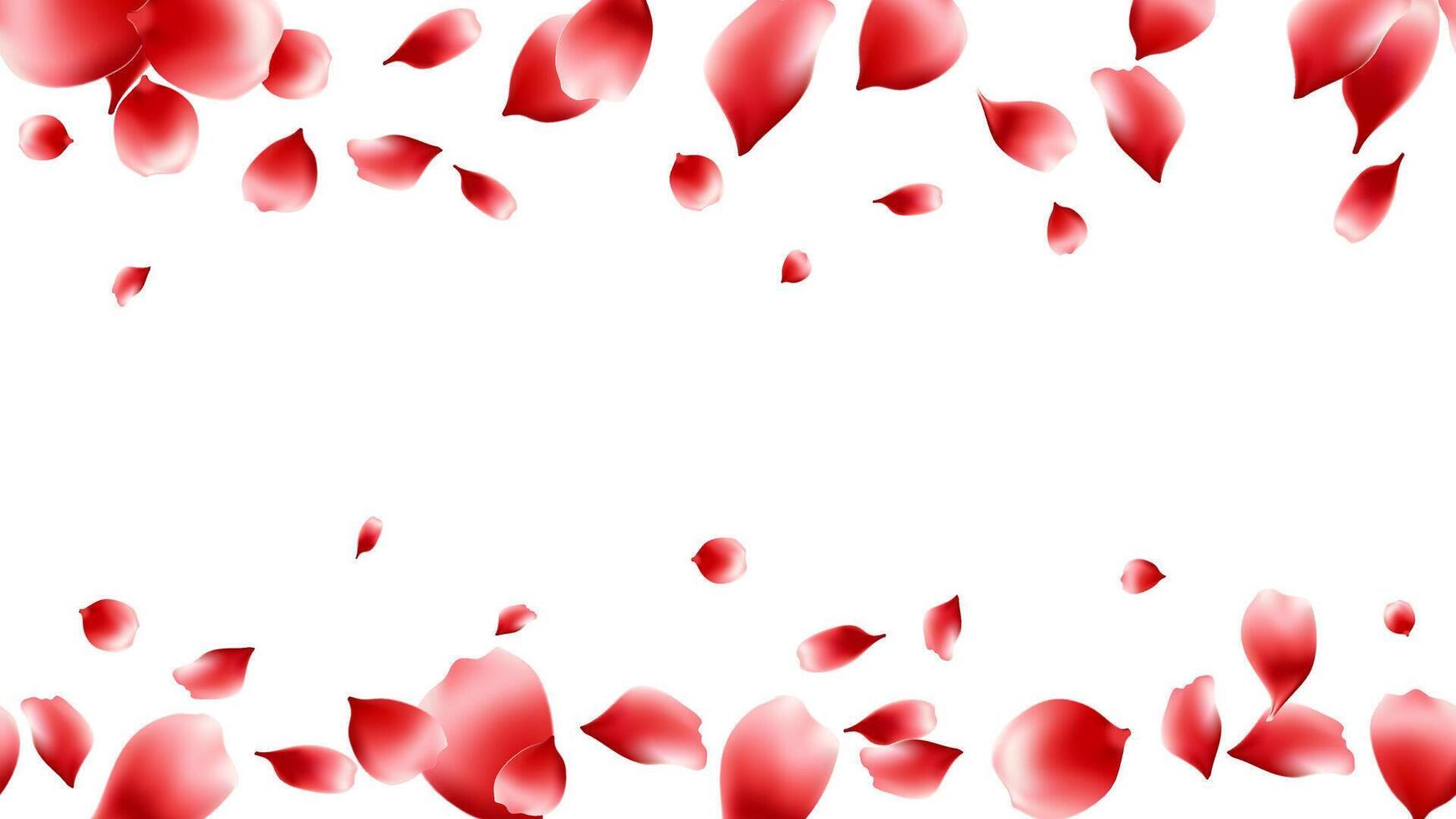 Red rose petals fly float horizontal frame seamless background. Romantic creative composition. Love concept vector