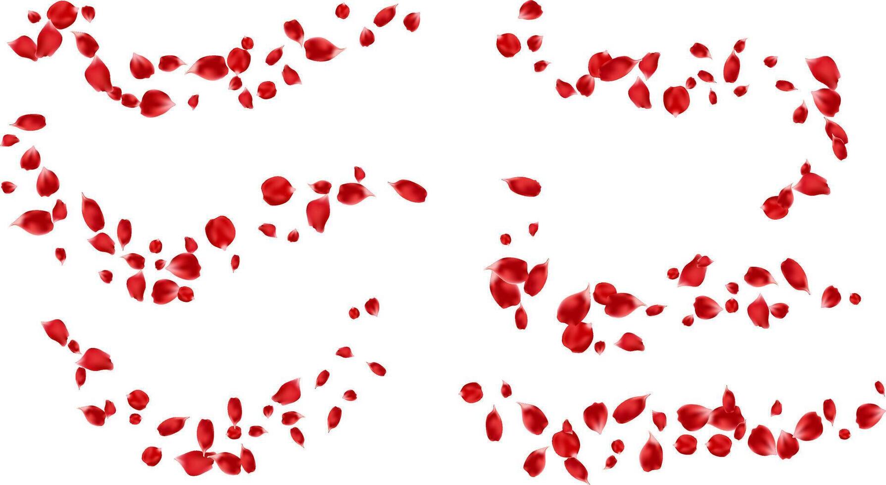 Floating red rose petals set concept for love greeting. Valentine day or mother day romantic design. Isolated illustration vector