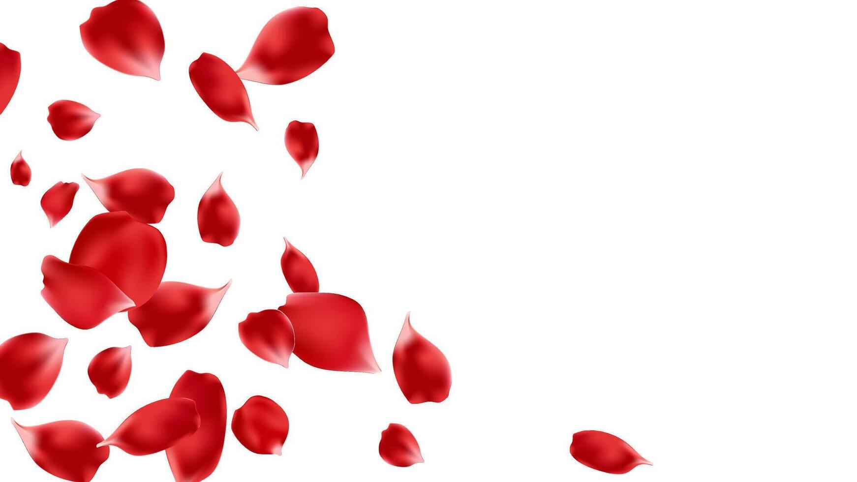 Frame red rose petal confetti decoration Valentine's Day background, greeting card, love festival vector