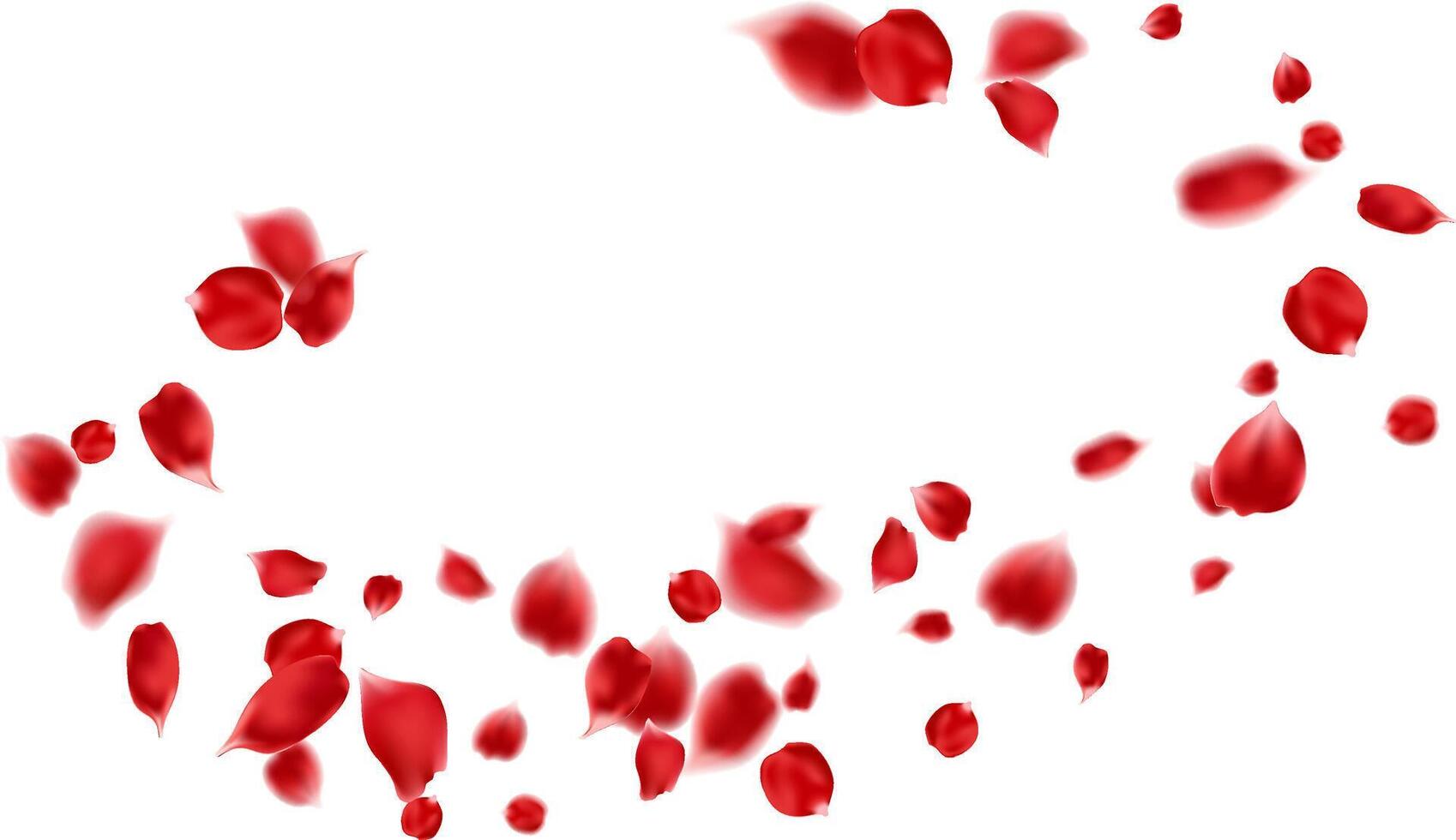 Valentine's day with red rose petal symbols for greeting card design, romantic banner, love border vector