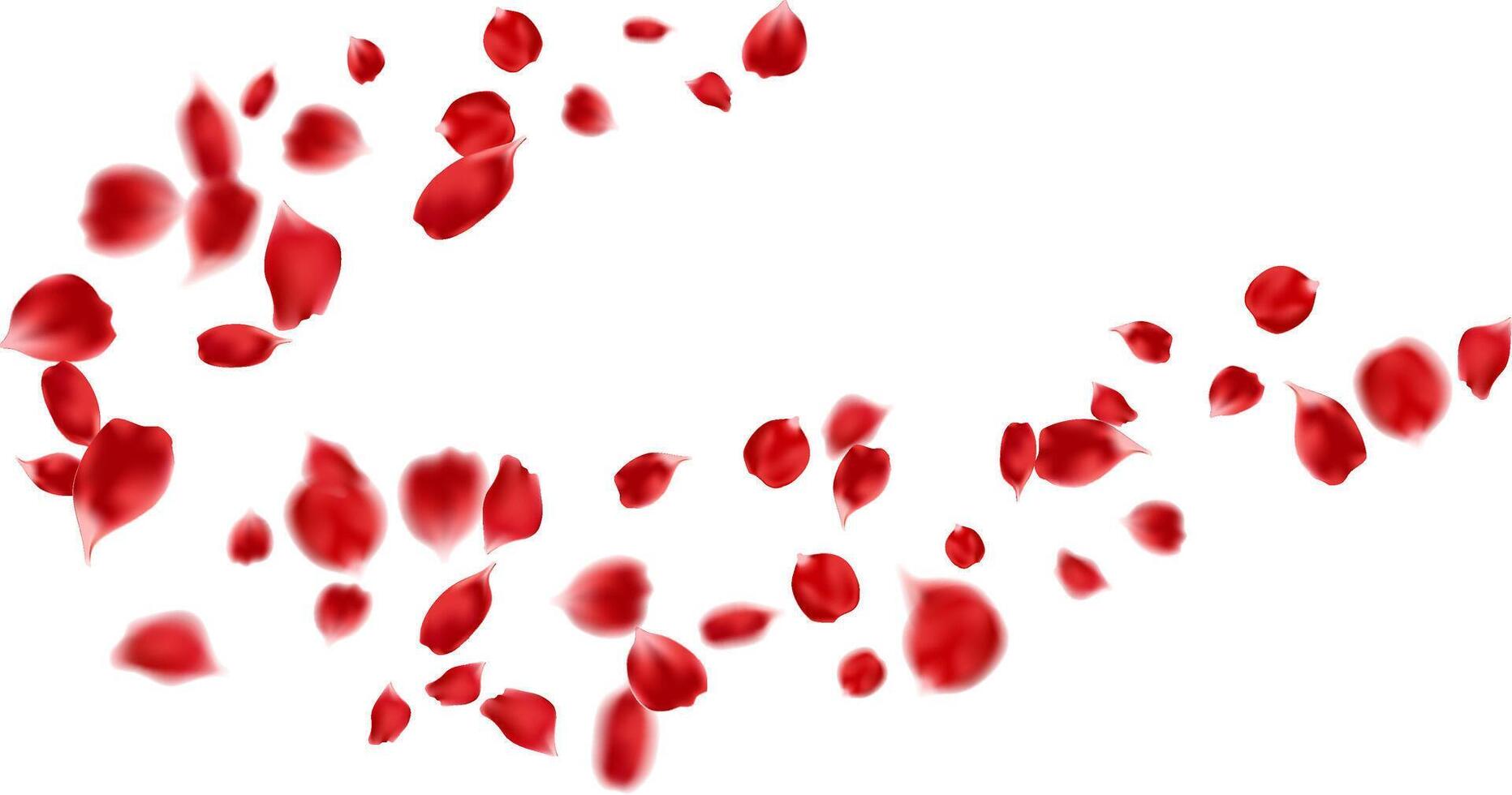 flying red rose petals. Flower decoration background, greeting card, Valentine's day vector