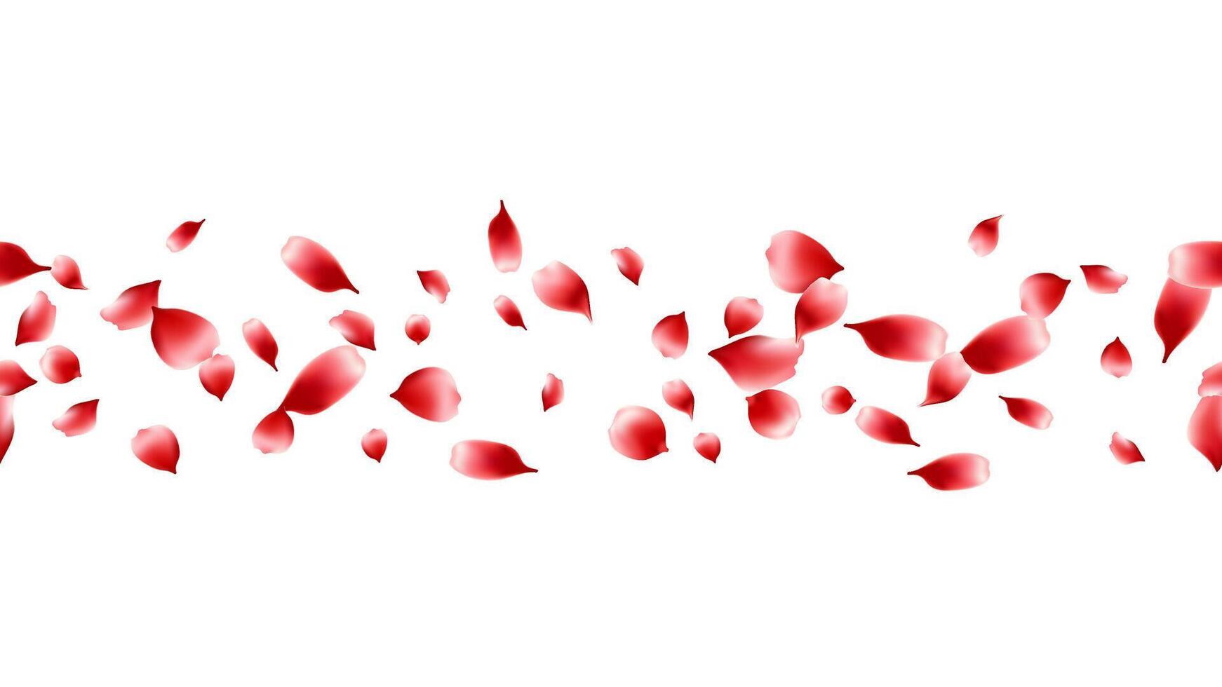 Realistic red rose petals flying decoration border celebration, Valentine's Day, wedding, card vector