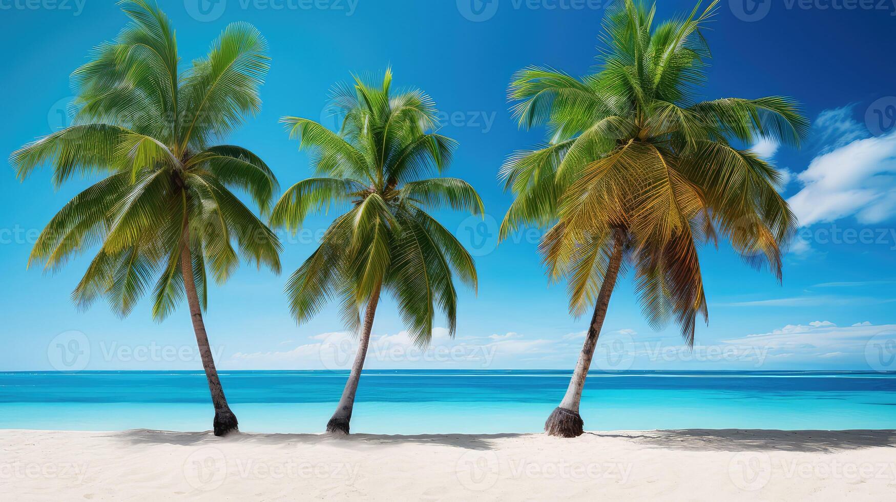 serene pineapple palm tree photo