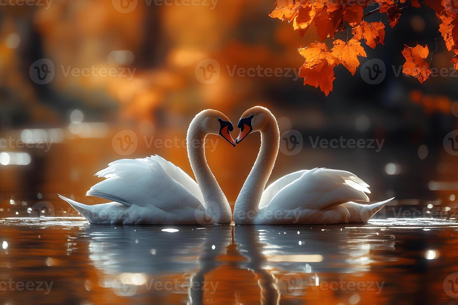 Romantic Swan Pair in Autumnal Setting - Perfect for Wedding Invitations and Romantic Art photo