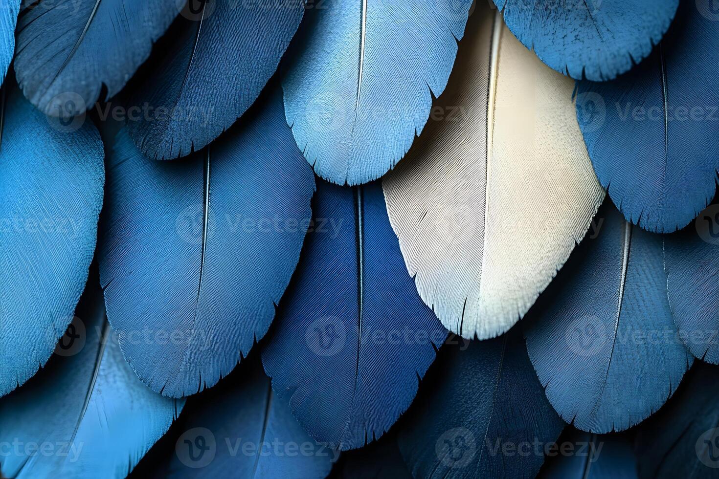 Abstract Pattern of Blue Feathers - Nature-Inspired Design for Print, Card, Poster photo