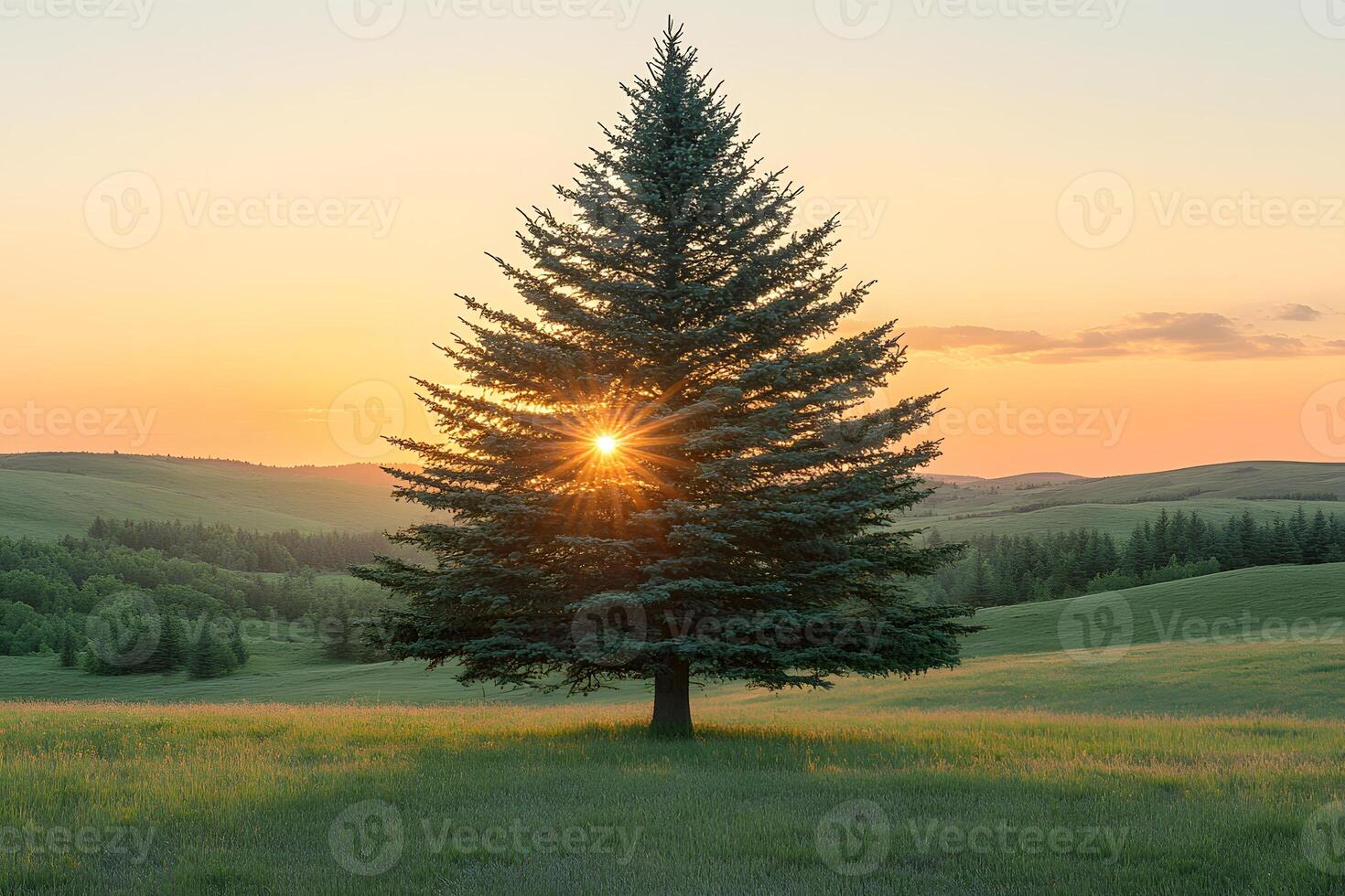 Serenity of a Lone Tree at Sunset in Scenic Countryside Landscape photo