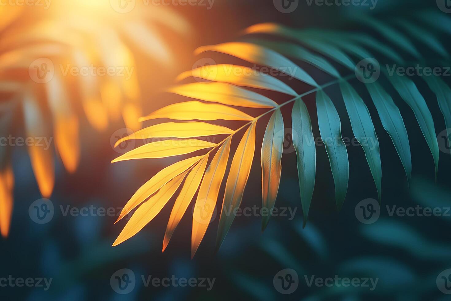Sunlit Tropical Leaves - Nature's Tranquil Design for Print and Poster photo