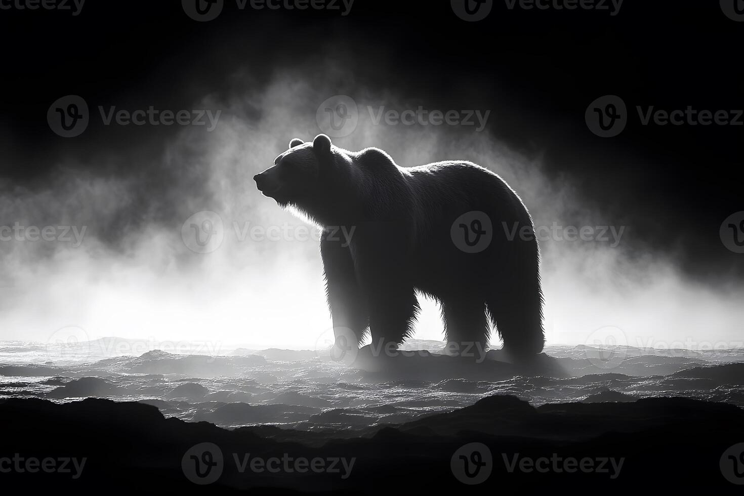 Majestic Polar Bear in Misty Arctic Landscape - Wildlife Photography for Posters photo