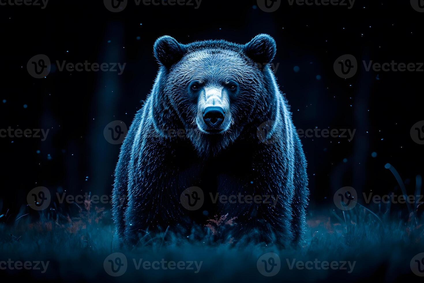 Majestic Bear in Moonlit Forest Wildlife Photography for Nature Enthusiasts photo