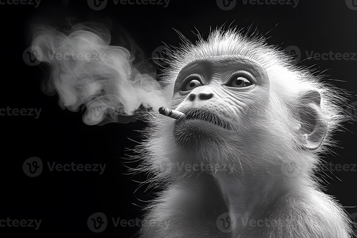 Humorous Concept of Monkey Smoking a Cigarette in Black and White photo