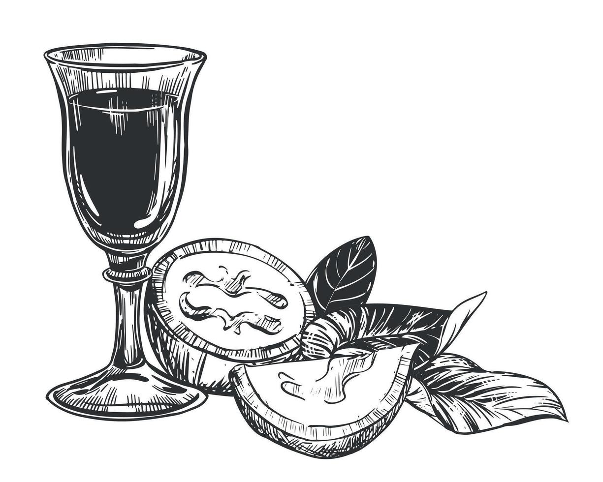 Walnut composition in engraving technique. Unripe walnut seeds whole and halves, leaves and branches. shot glass of Italian liqueur Nocino. Linear sketch in black ink on white background. vector