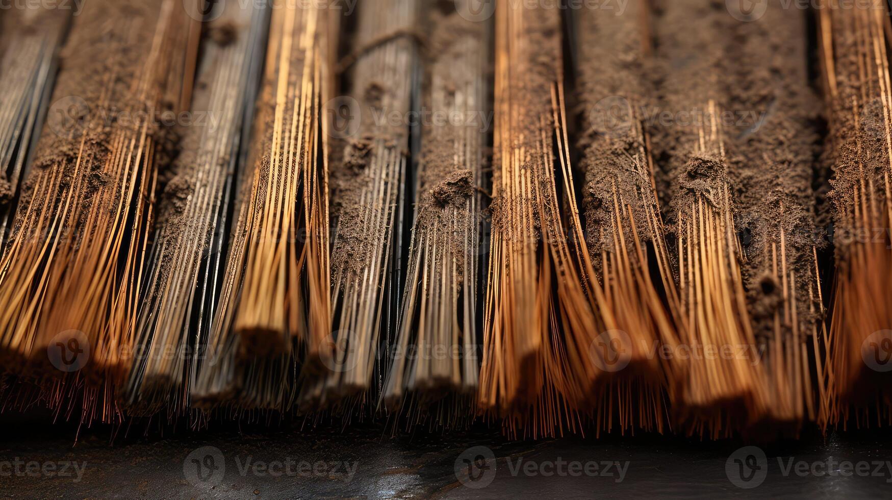 bristles brushes texture photo